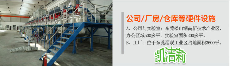 凱潔莉洗衣粉洗滌劑生產設備及車間